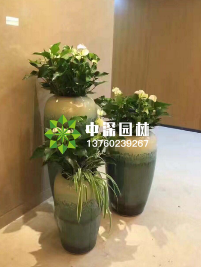 深圳園林景觀公司服務(wù)標(biāo)準(zhǔn)