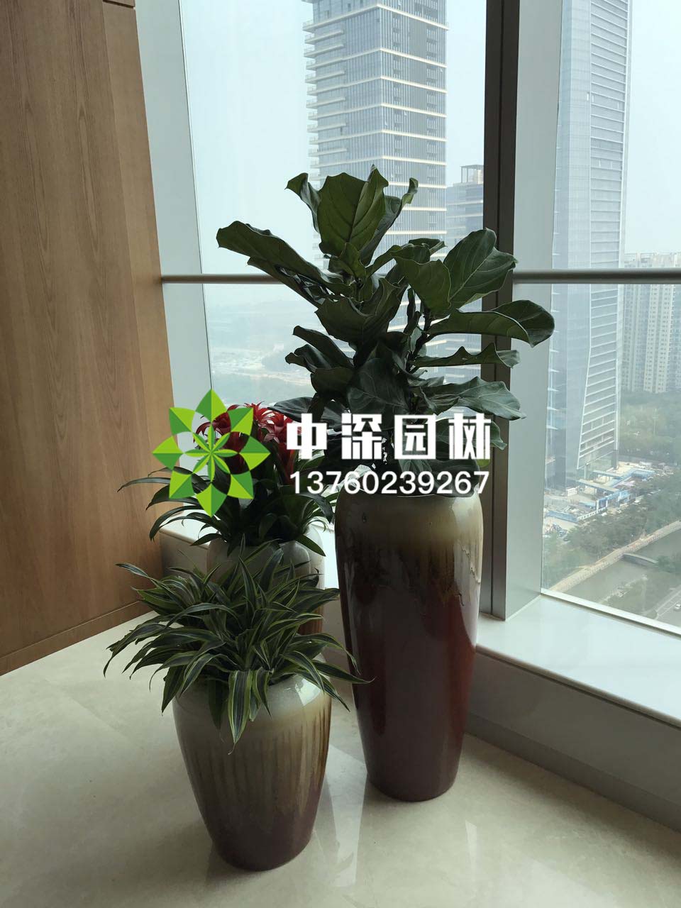 組合盆景