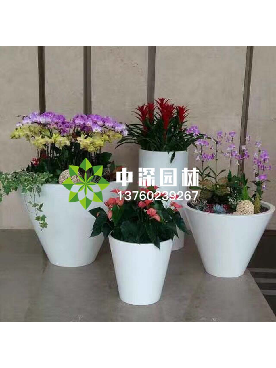 組合盆景