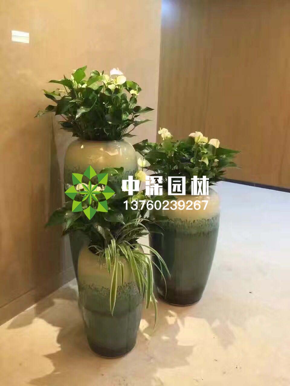 組合盆景