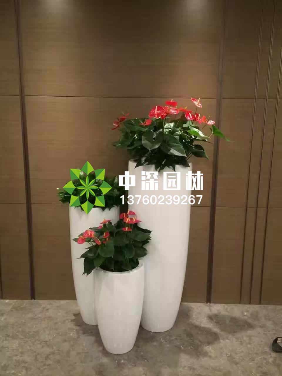組合盆景