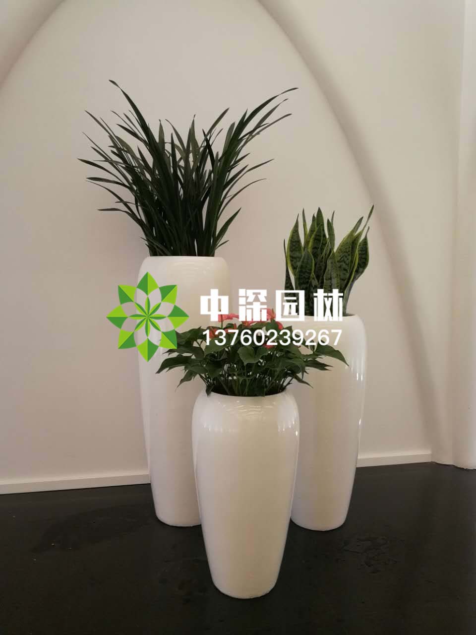 組合盆景