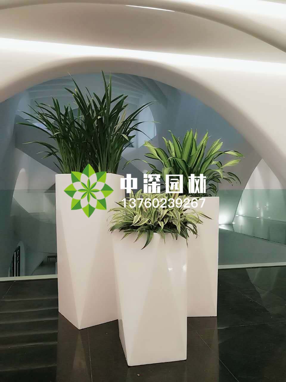 組合盆景