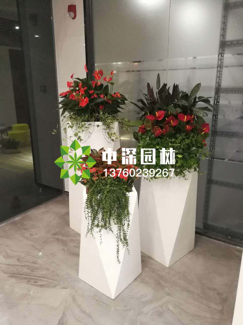 組合盆景