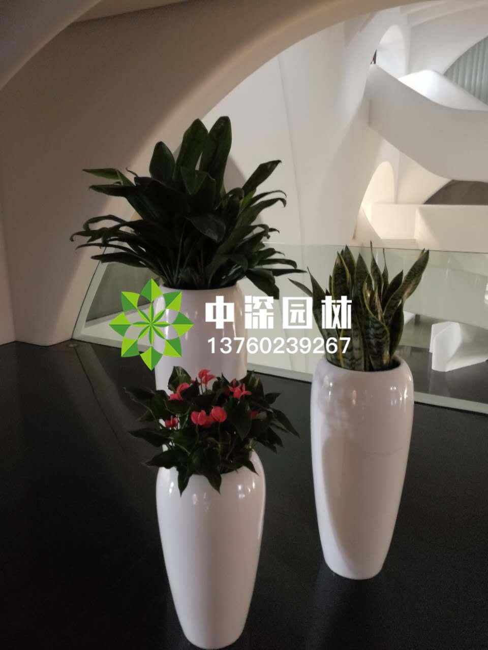 組合盆景