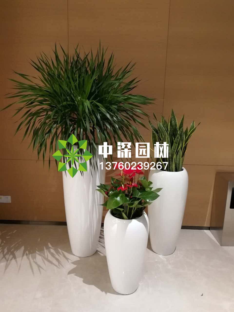 組合盆景