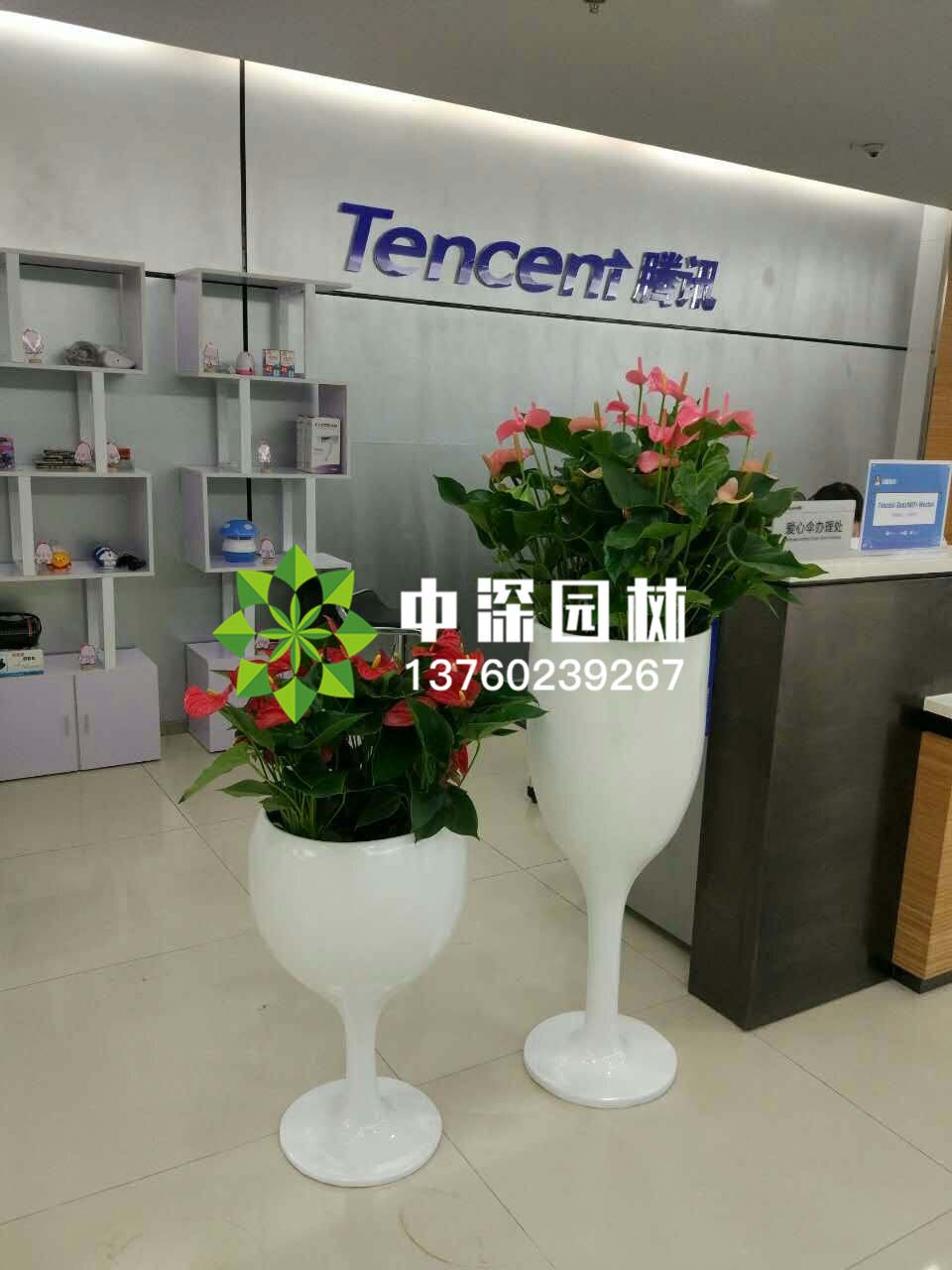 組合盆景