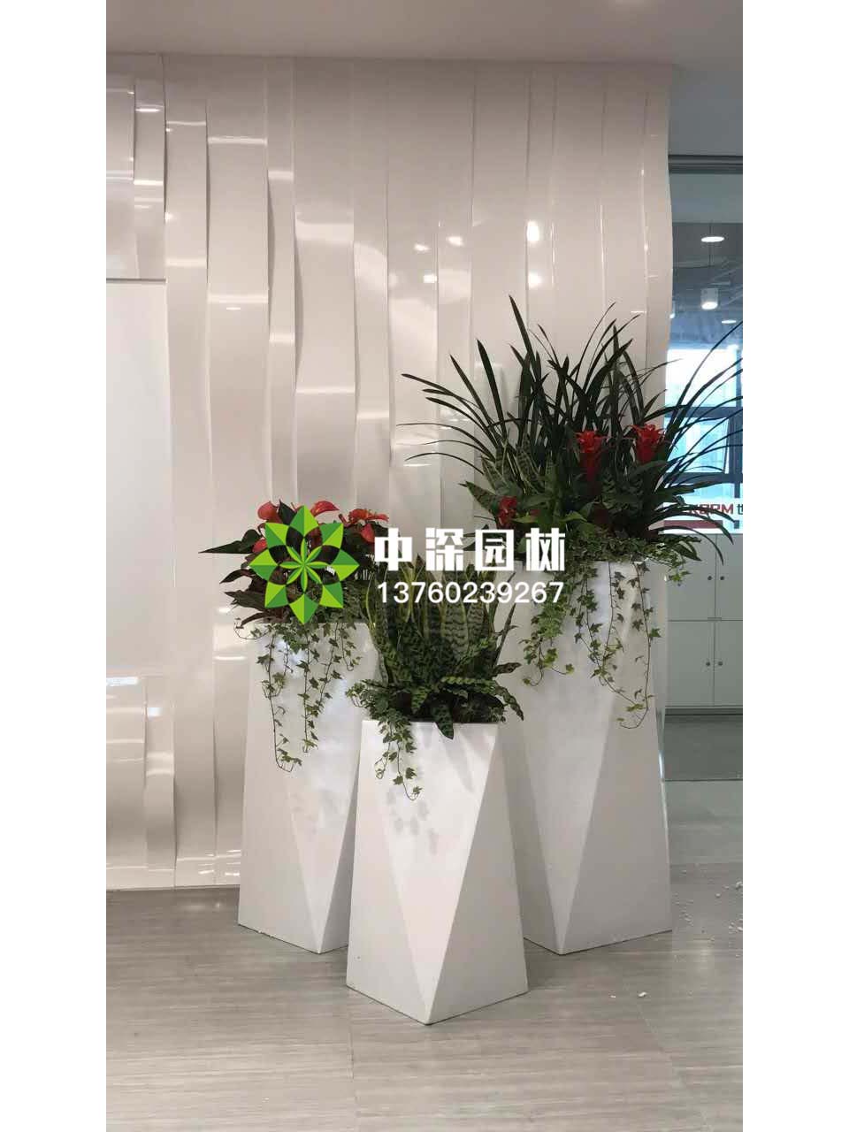 組合盆景