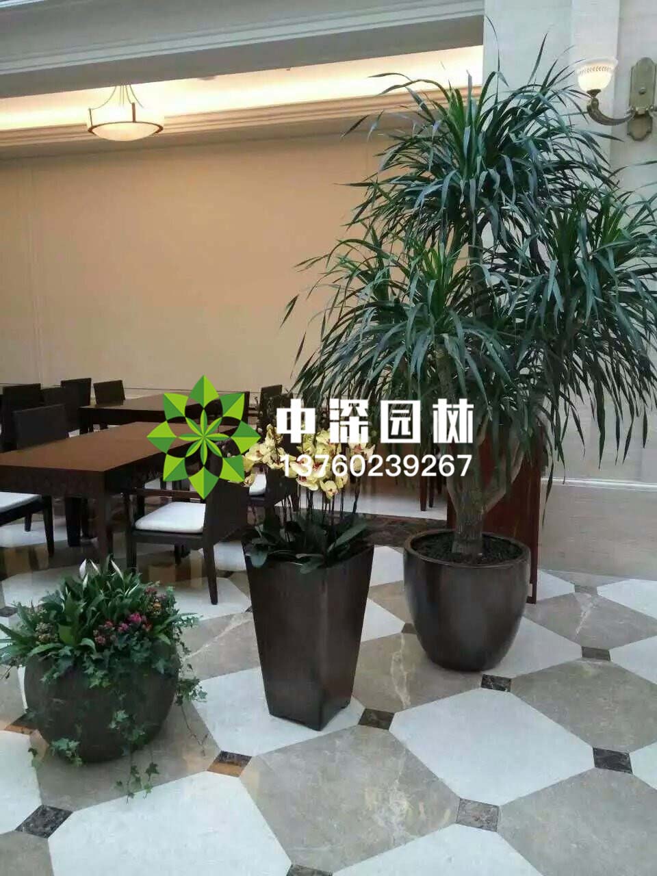 組合盆景