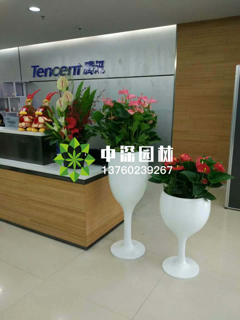 組合盆景