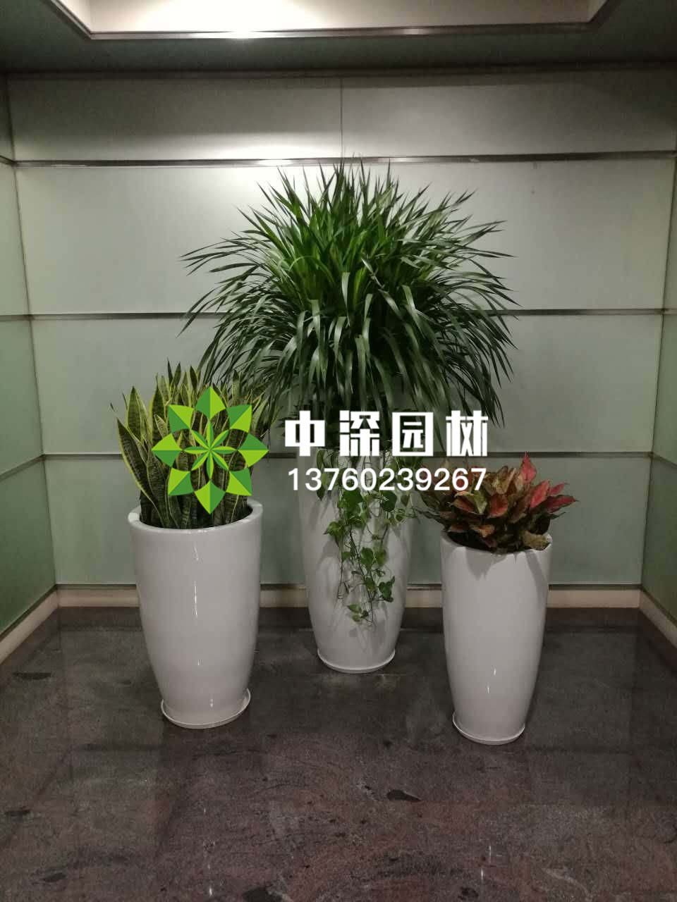 組合盆景