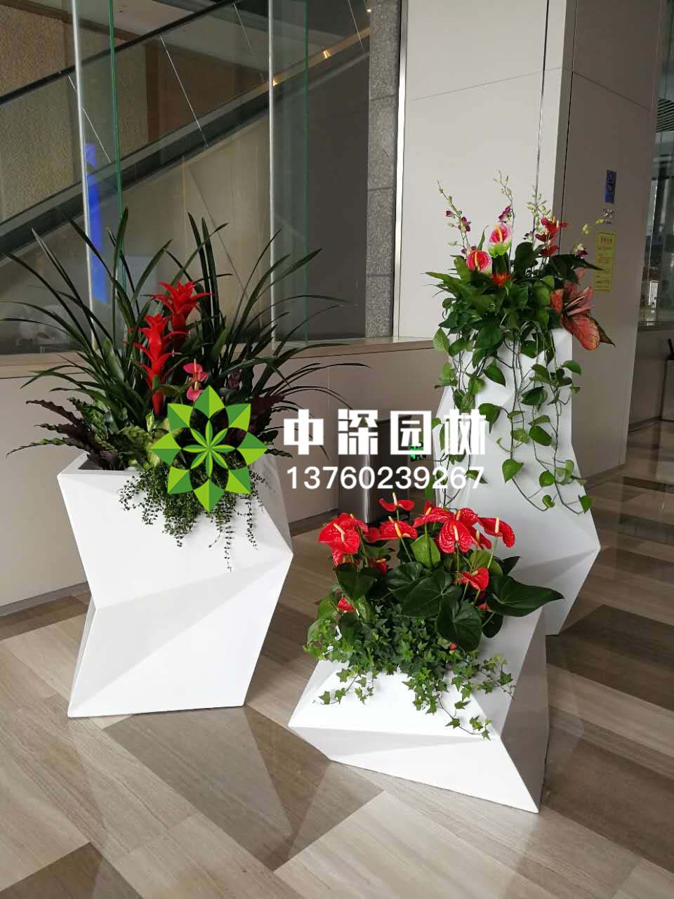 組合盆景