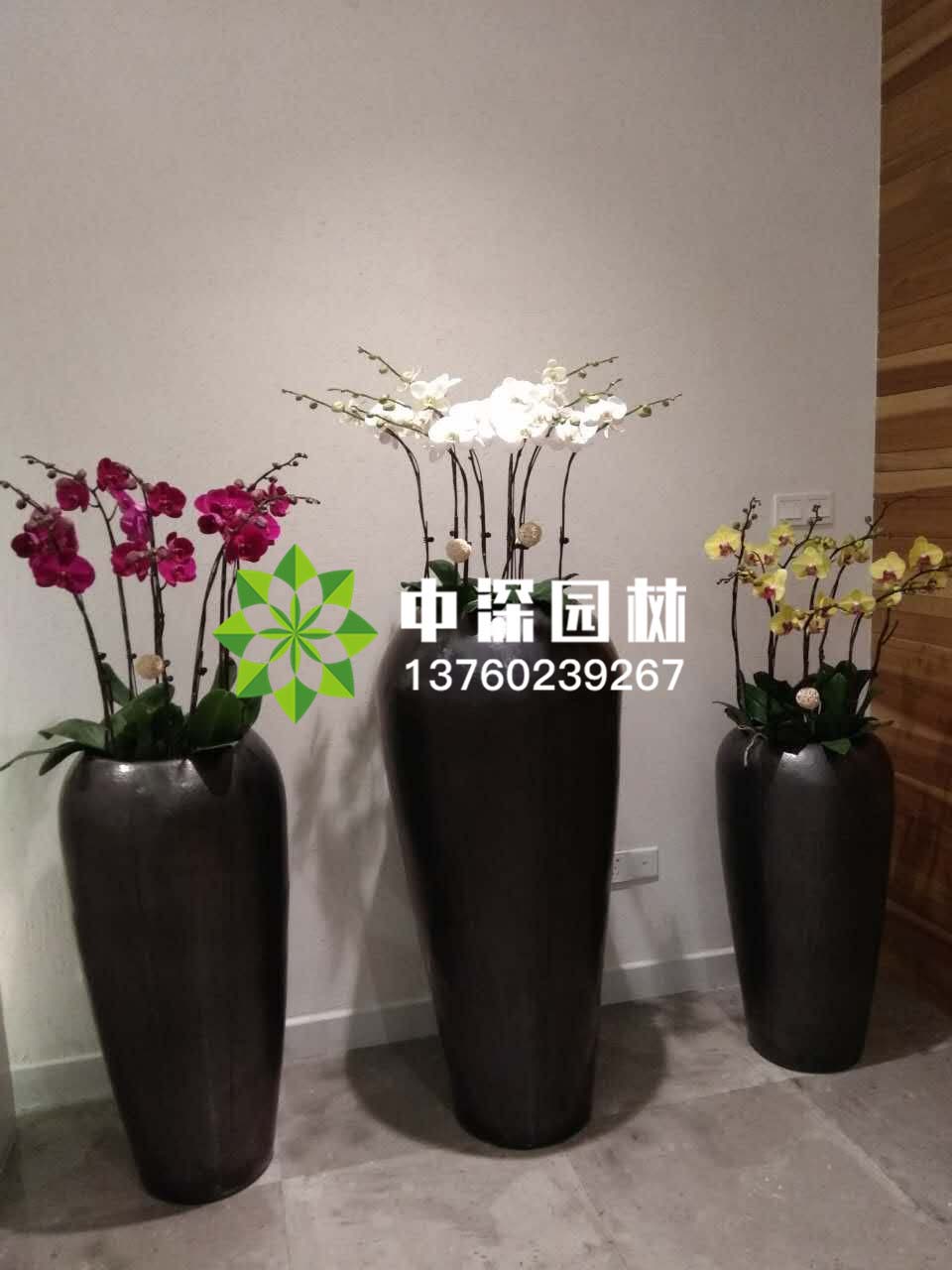 組合盆景