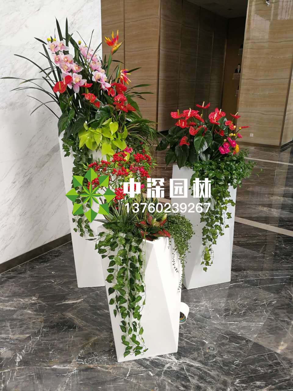 組合盆景