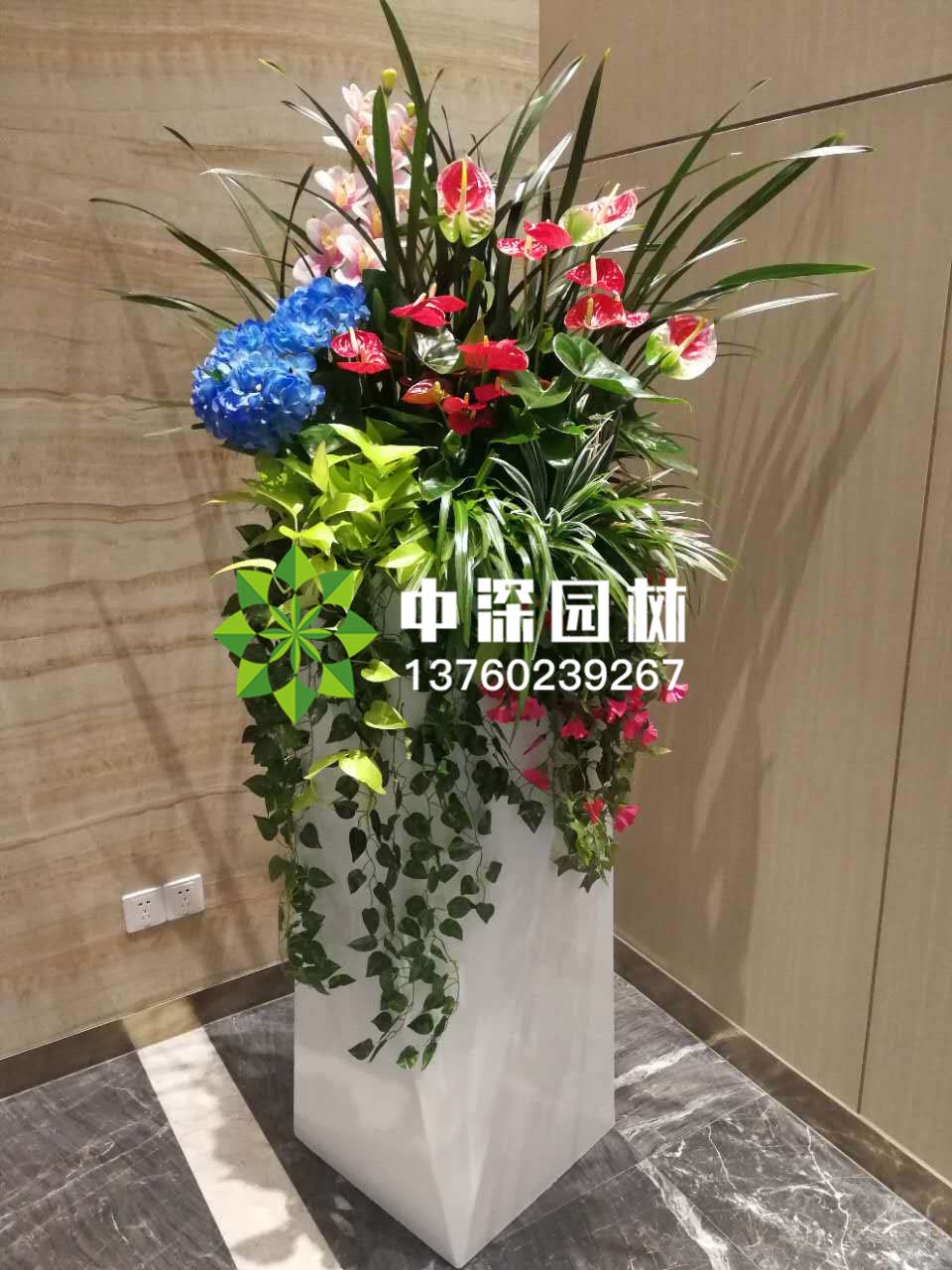 組合盆景