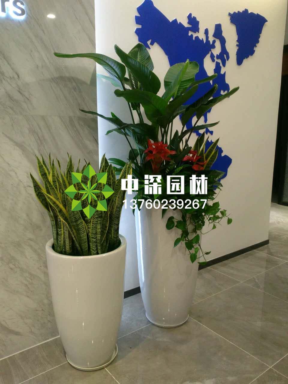 組合盆景