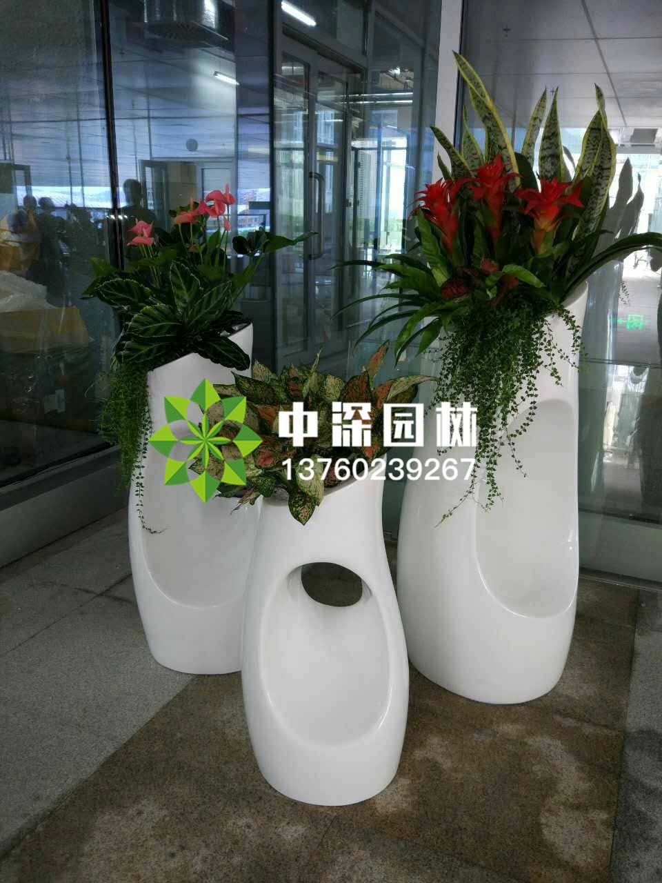 組合盆景