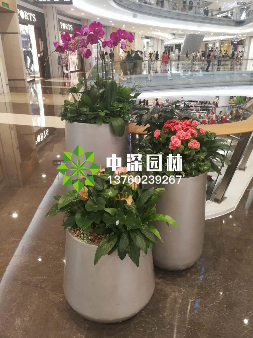 組合盆景