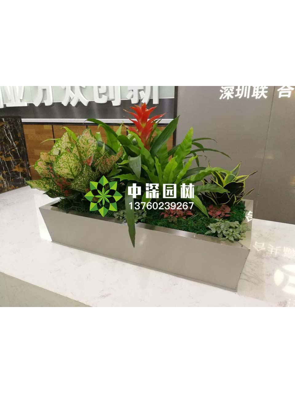組合盆景