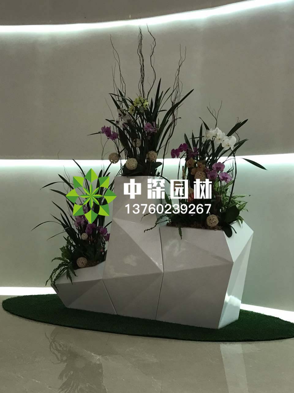 組合盆景