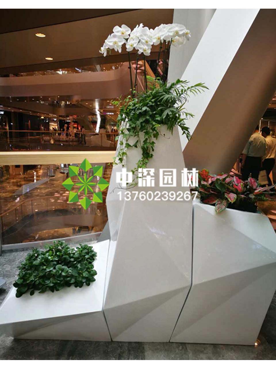 組合盆景