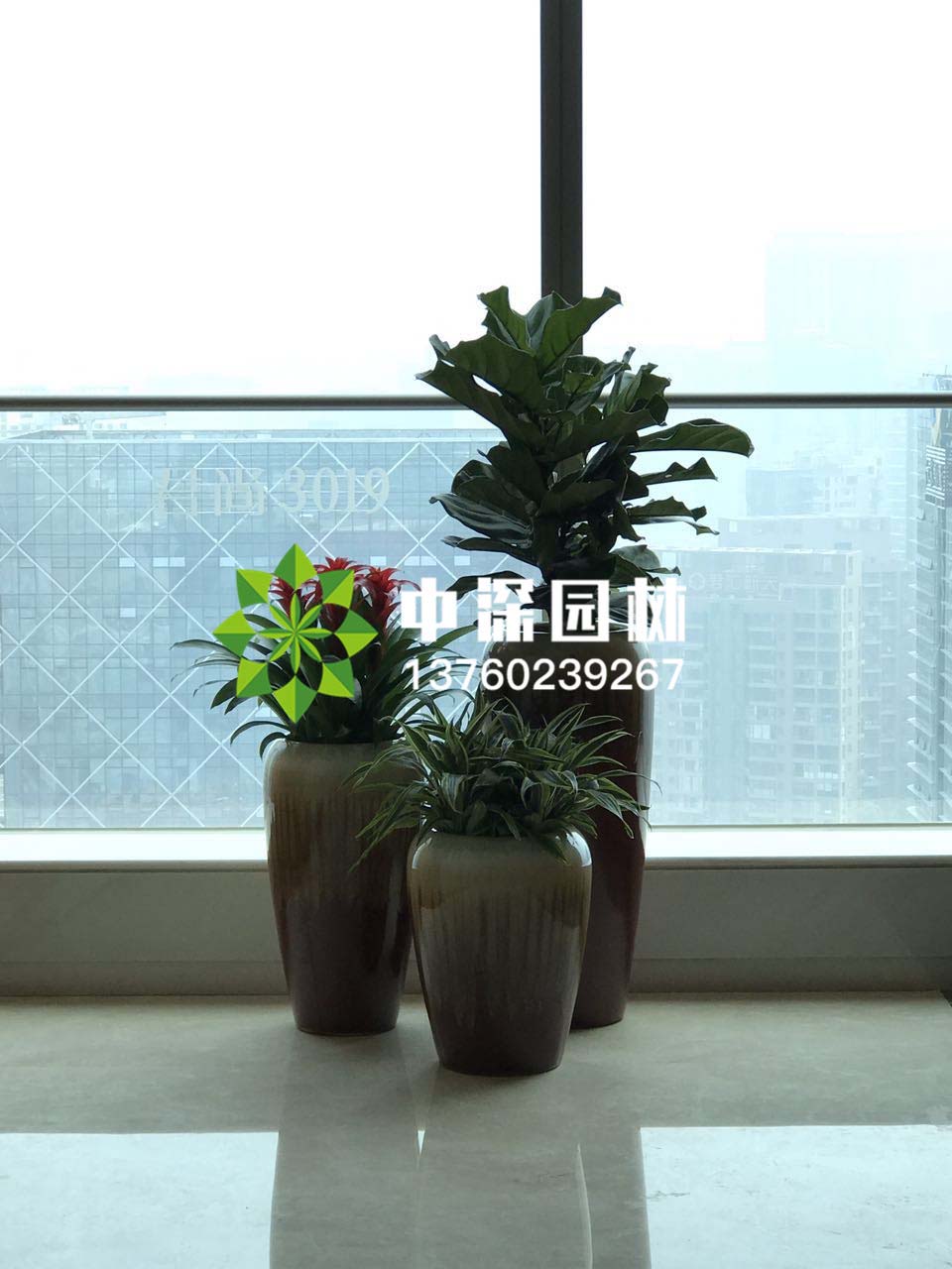 組合盆景