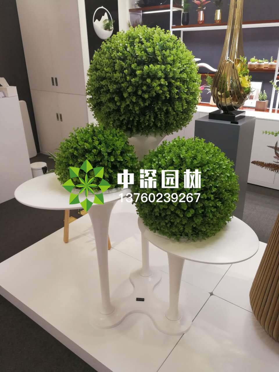 組合盆景