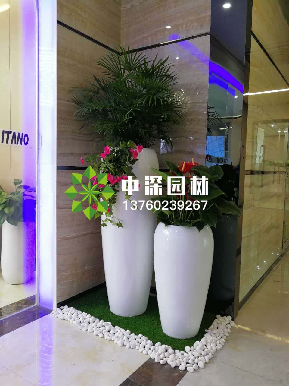 組合盆景