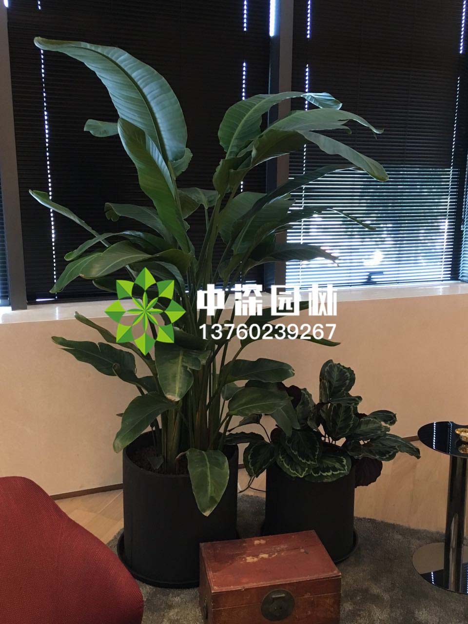 組合盆景