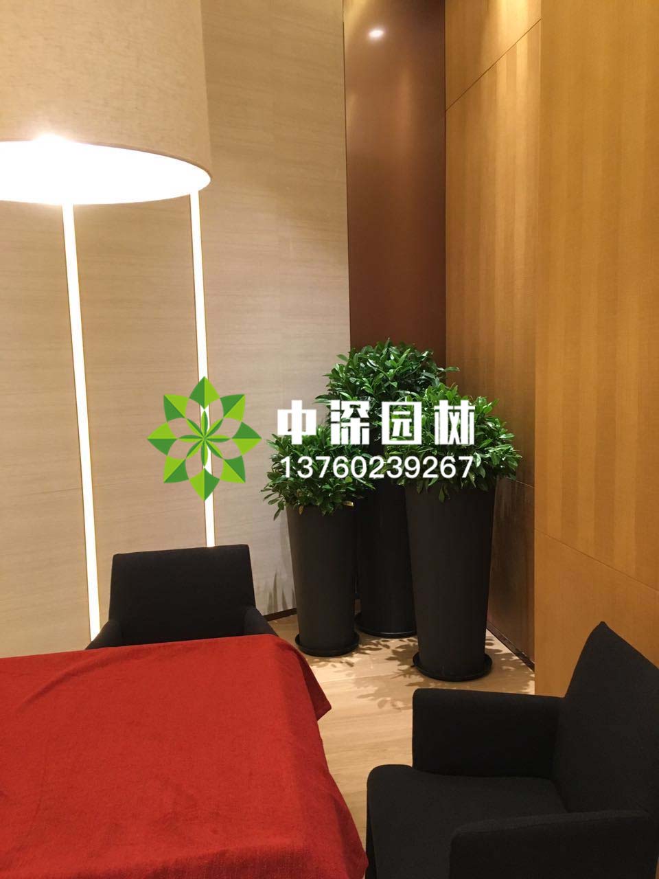 組合盆景