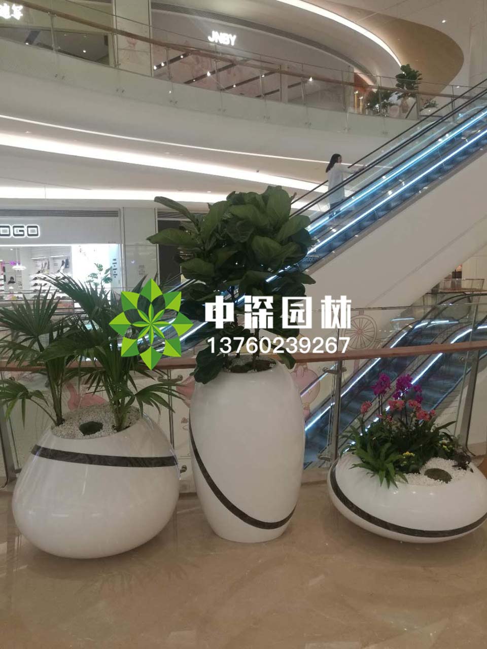 組合盆景
