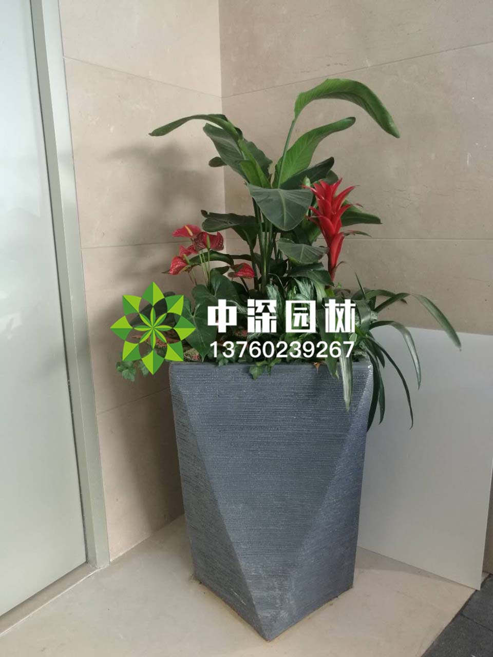 組合盆景