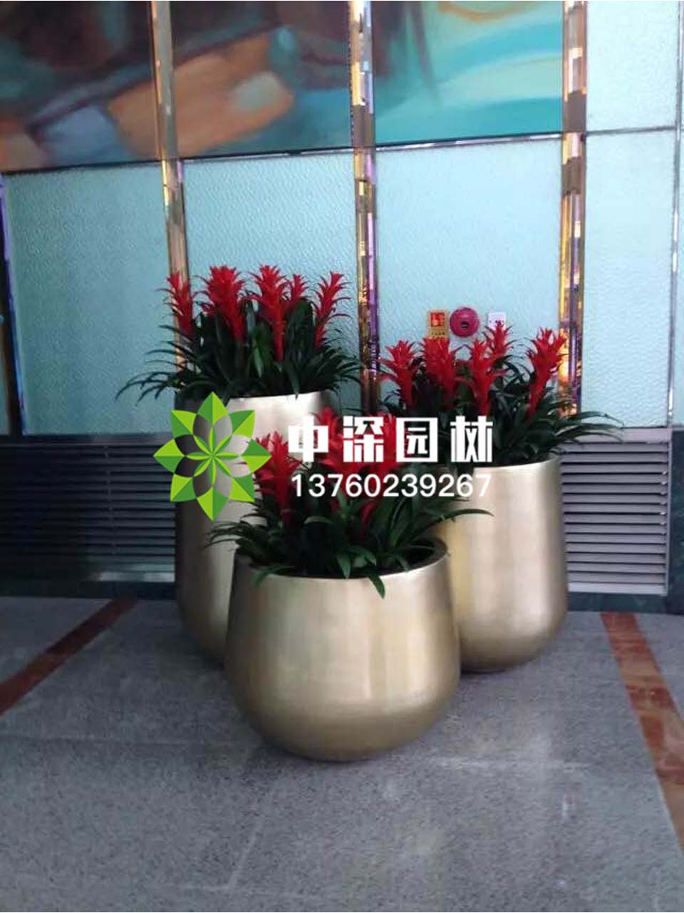 組合盆景