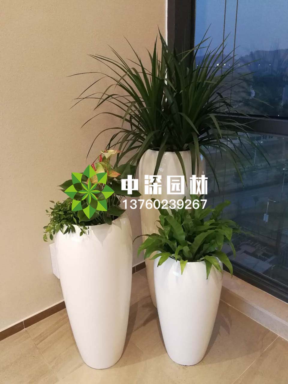 組合盆景