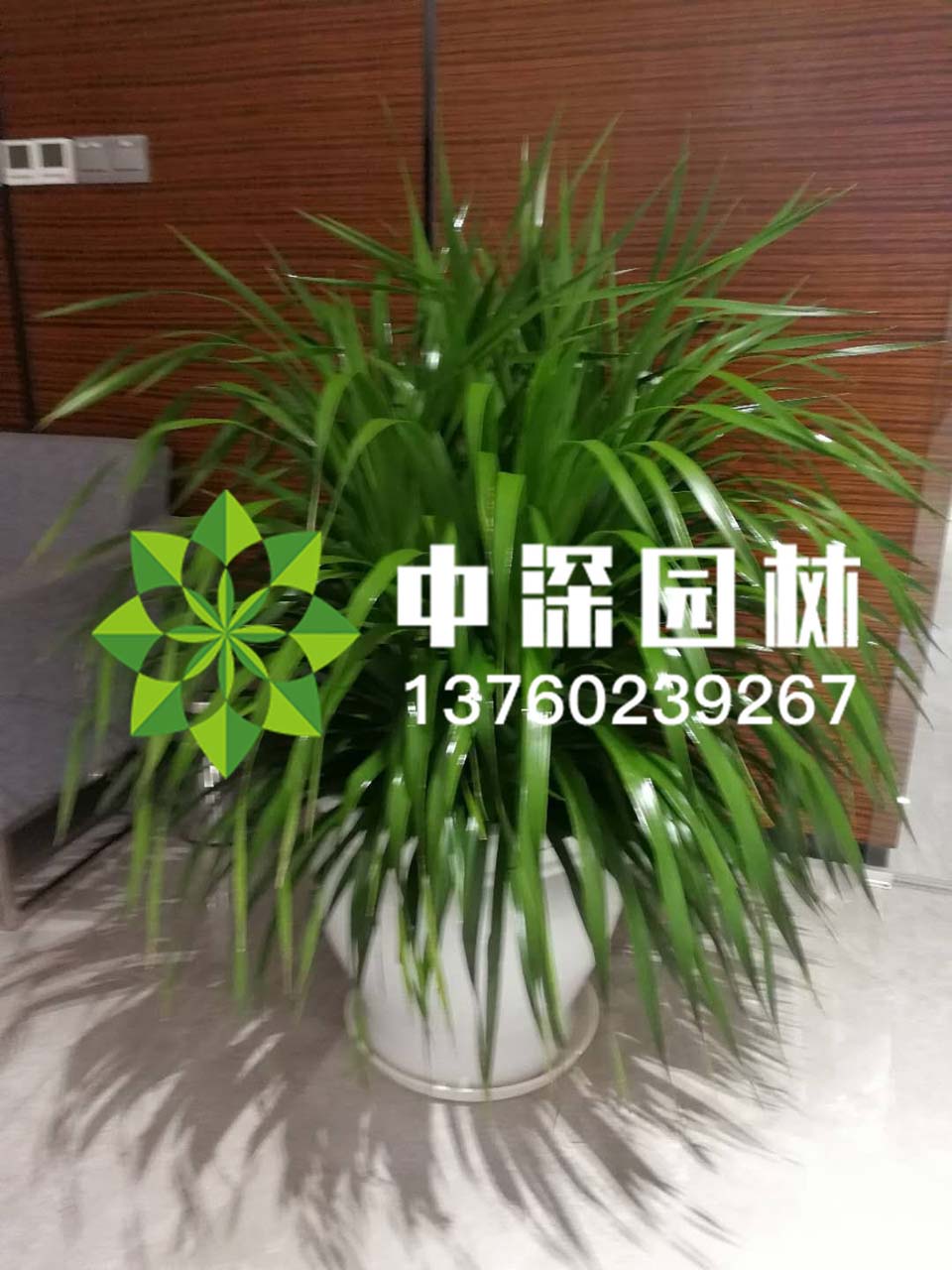 其他系列