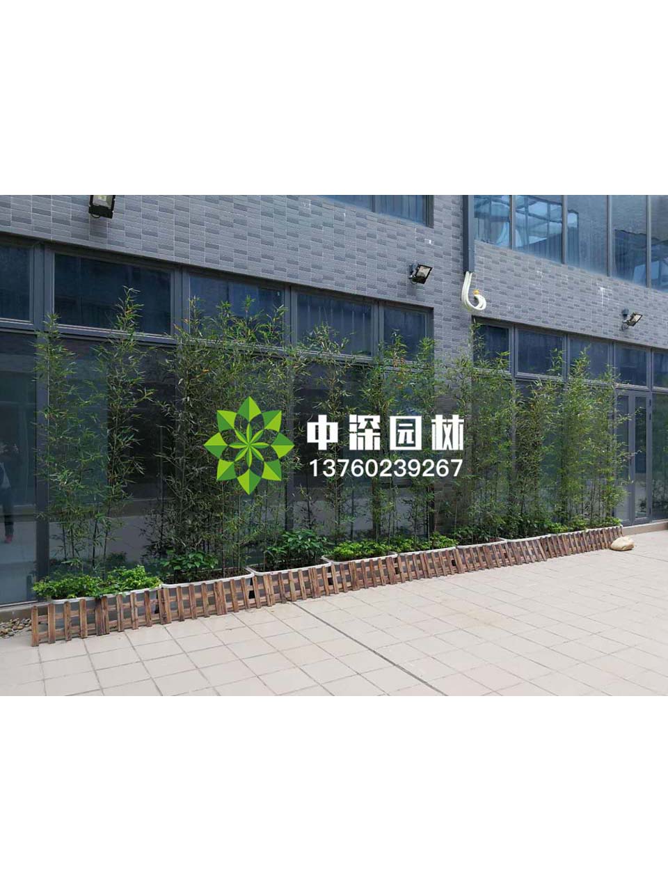 花壇盆景