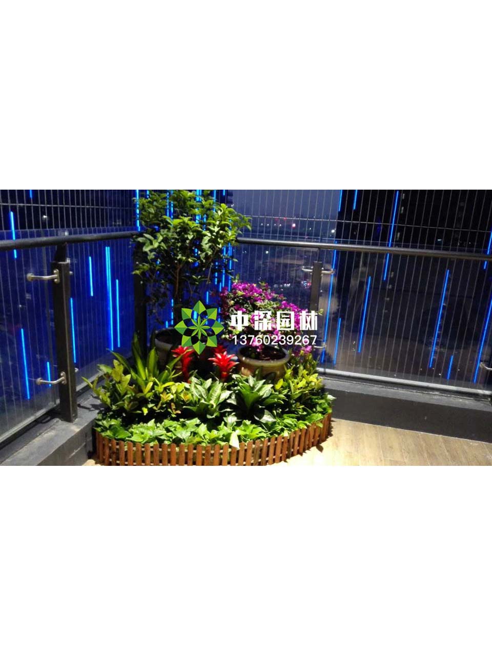 花壇盆景