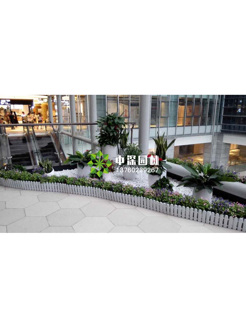花壇盆景
