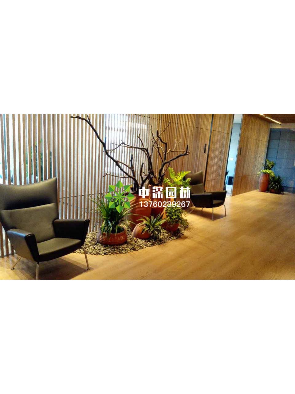 花壇盆景