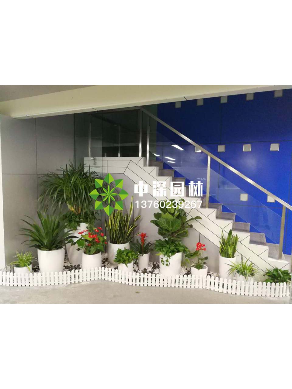 花壇盆景