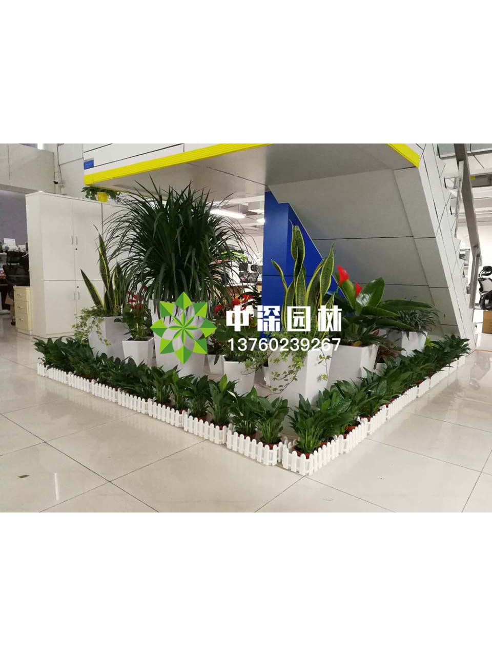 花壇盆景
