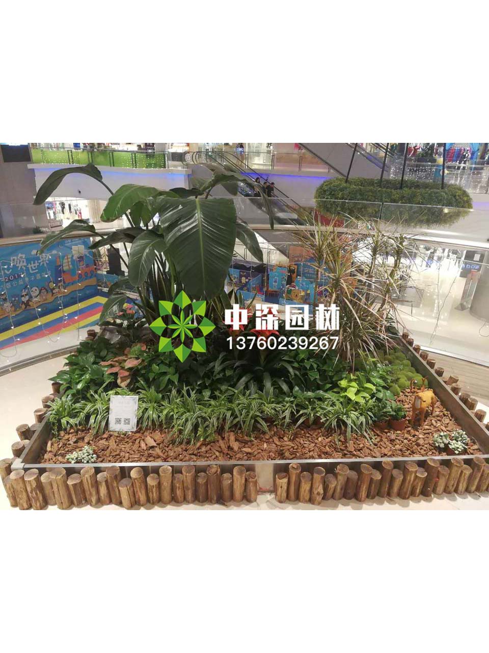 花壇盆景