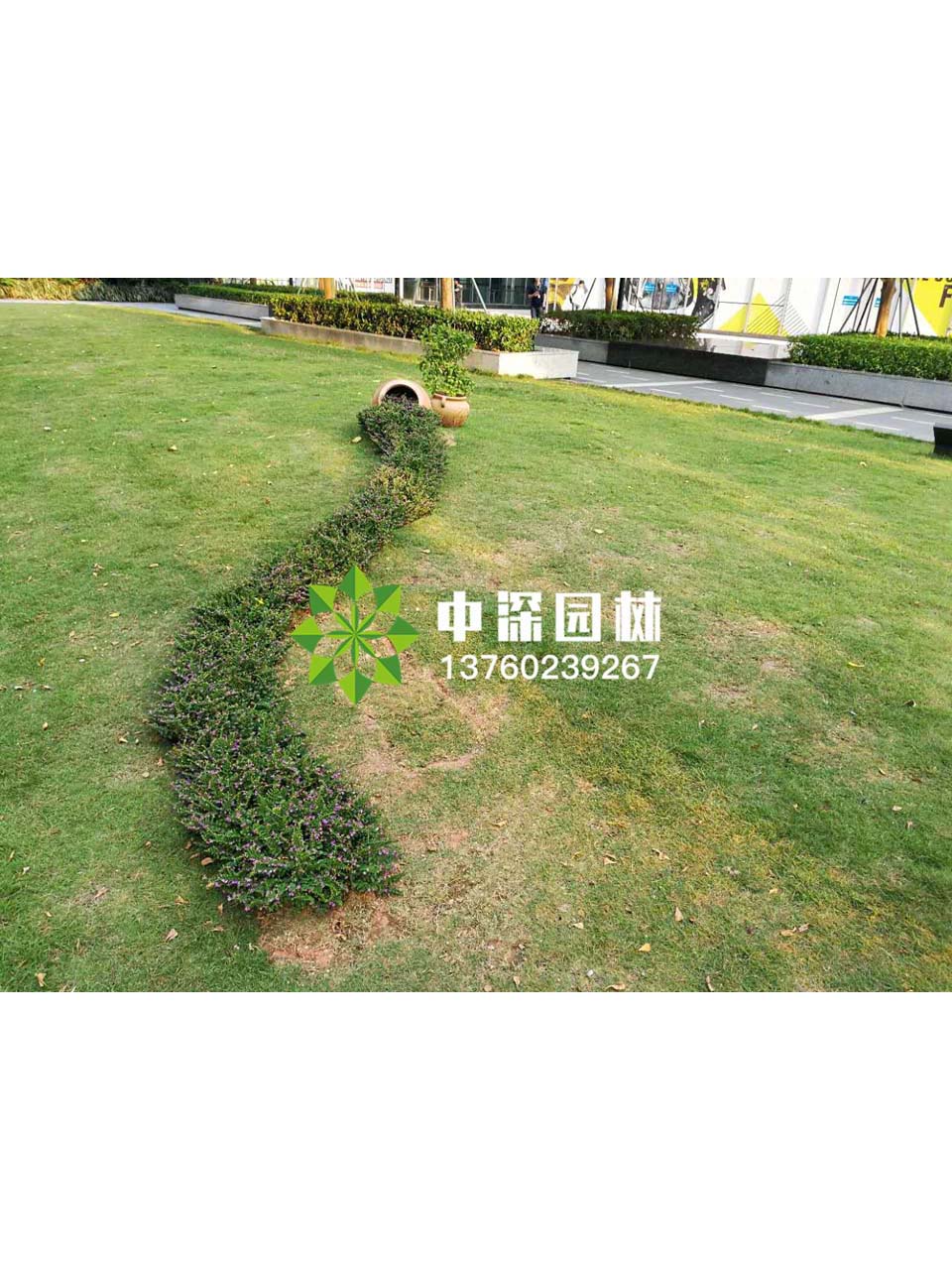 花壇盆景