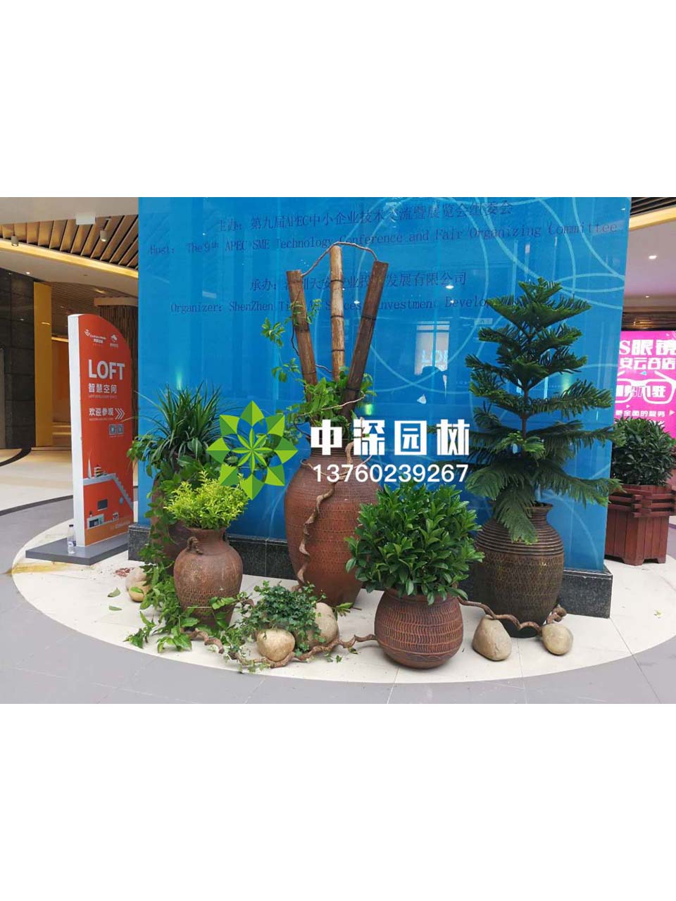 花壇盆景