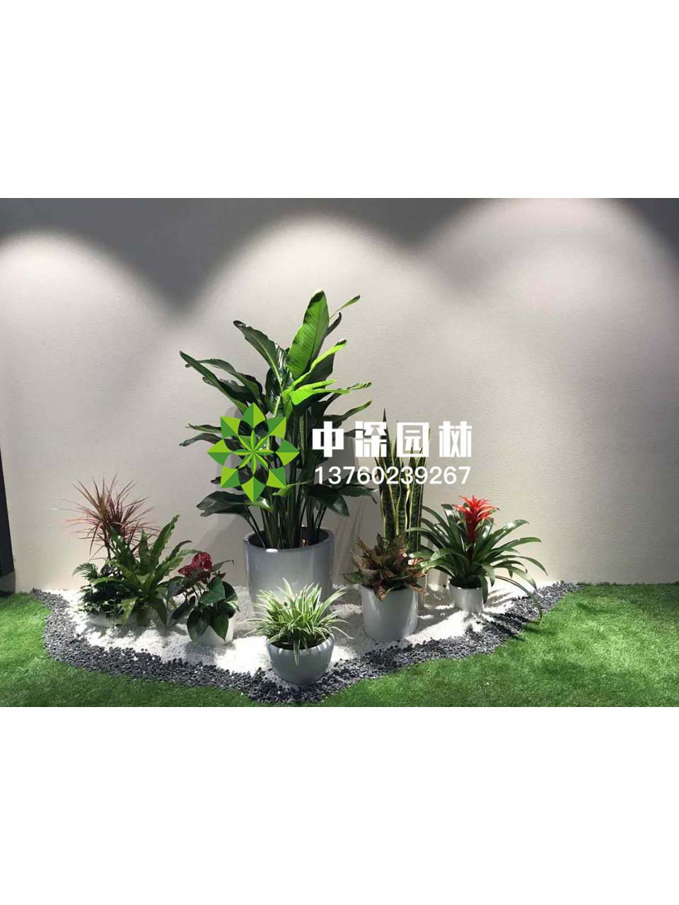 花壇盆景