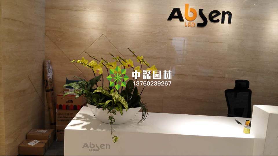 艾比森前臺(tái)