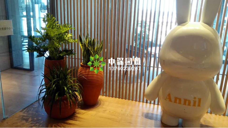 安奈兒休閑區(qū)